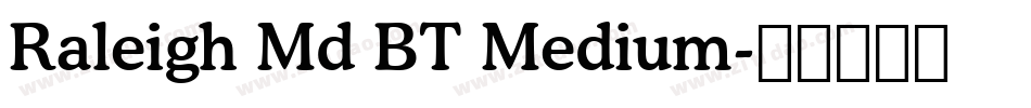 Raleigh Md BT Medium字体转换